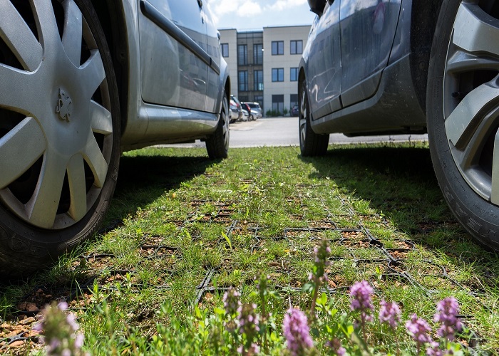 Einen naturnahen Eindruck vermitteln die pflegeleichten Parkplatzflächen mit MikroGreen