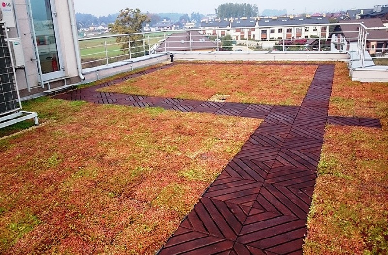 Dachterrasse mit EcoSedumPack