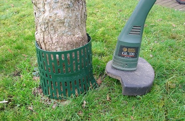 Baumschutz*TreeProtect